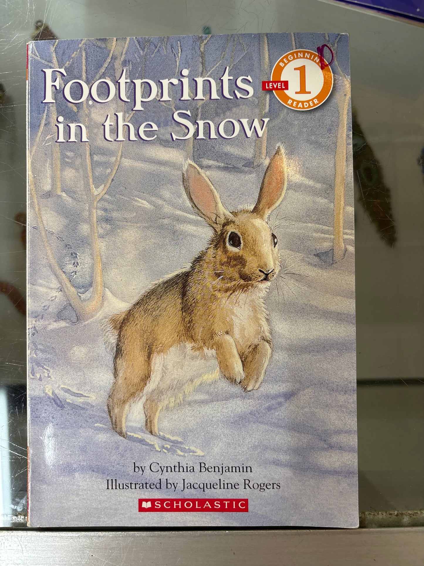 Footprints in the snow