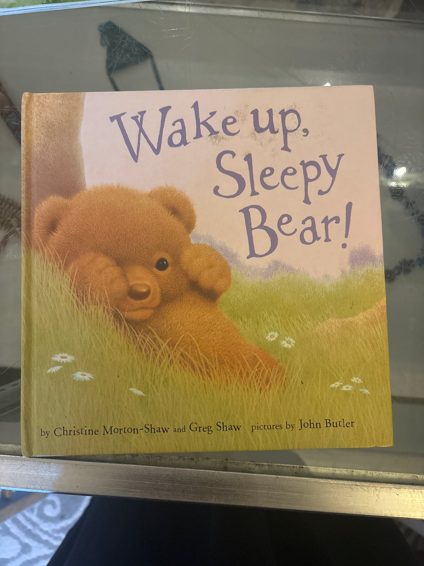 Wake up sleepy bear