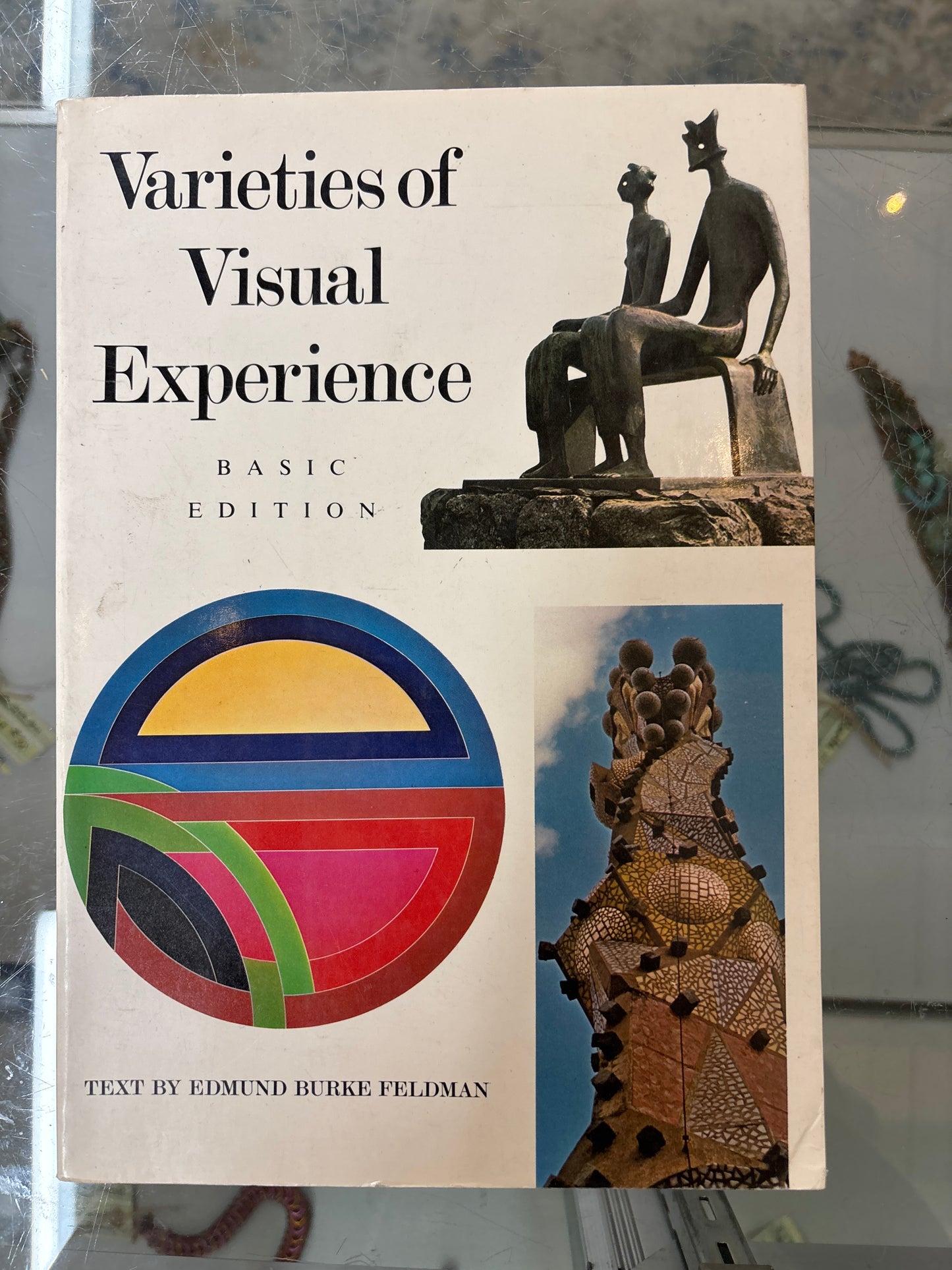 Varieties of Visual Experience