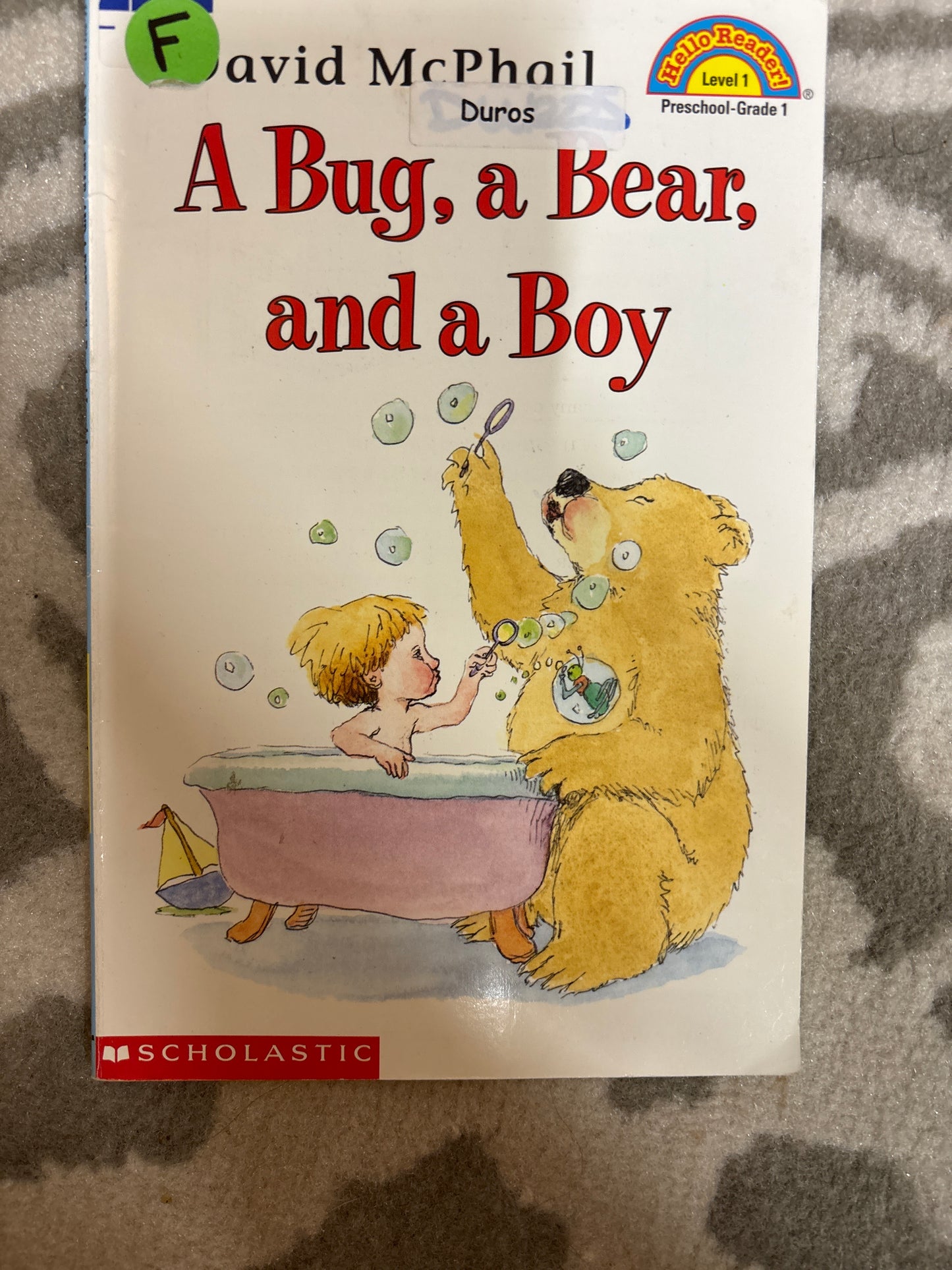 A Bug, A Bear, and a Boy
