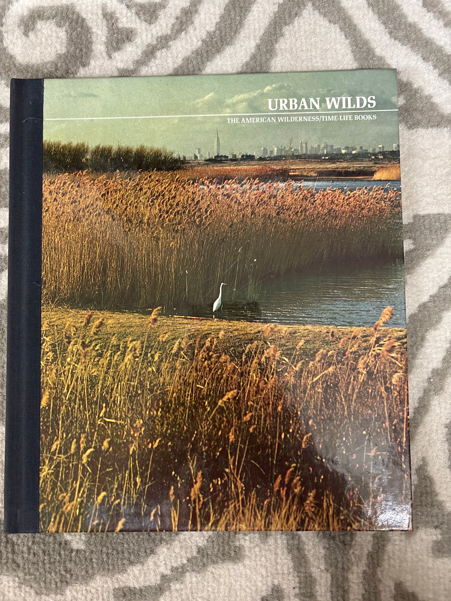 Urban Wilds