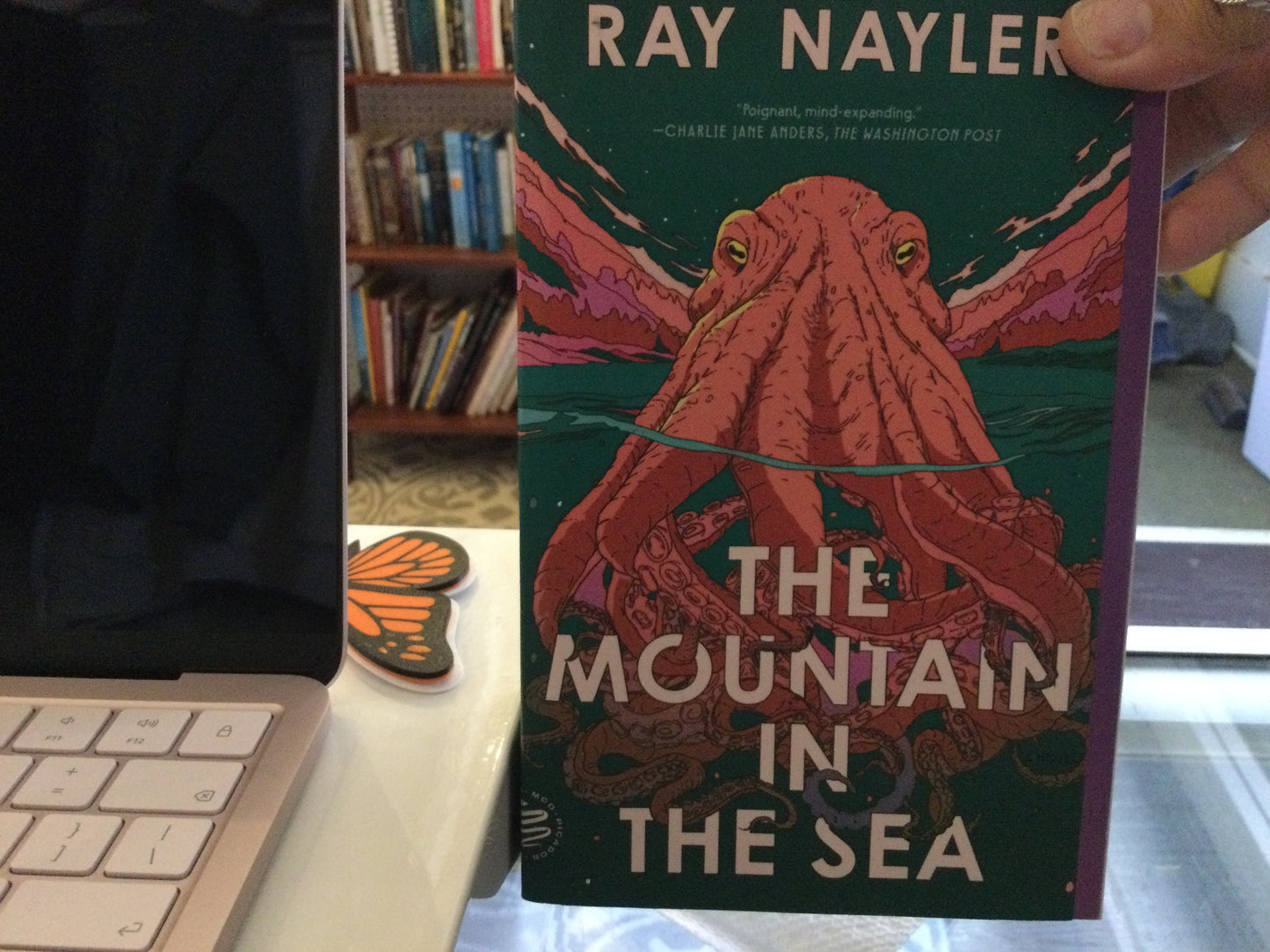 The Mountain In the Sea