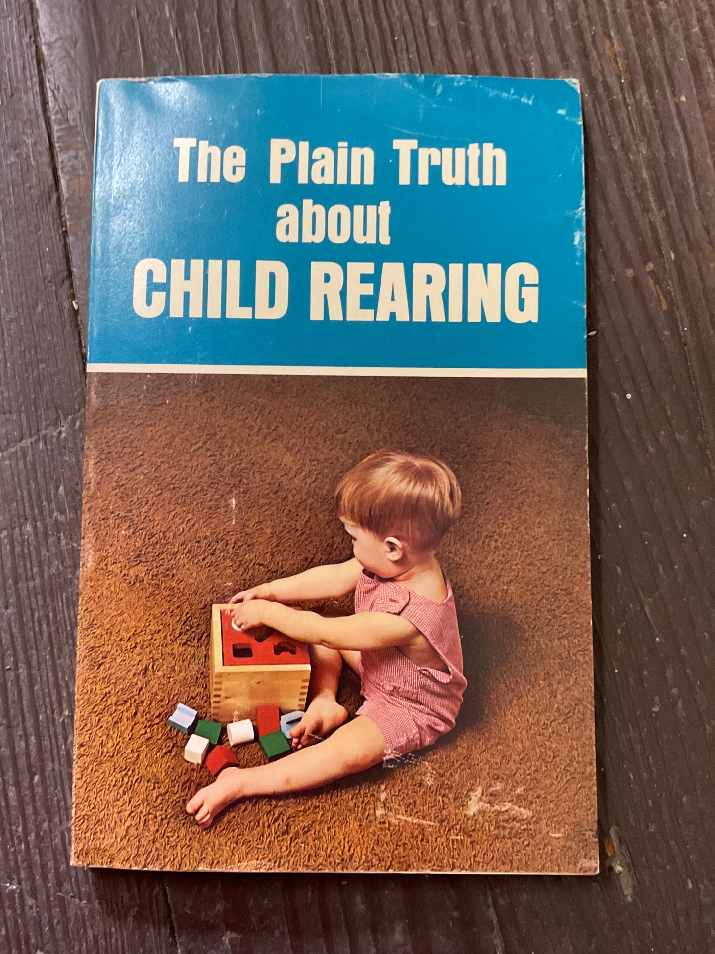 The Plain Truth about Child Rearing