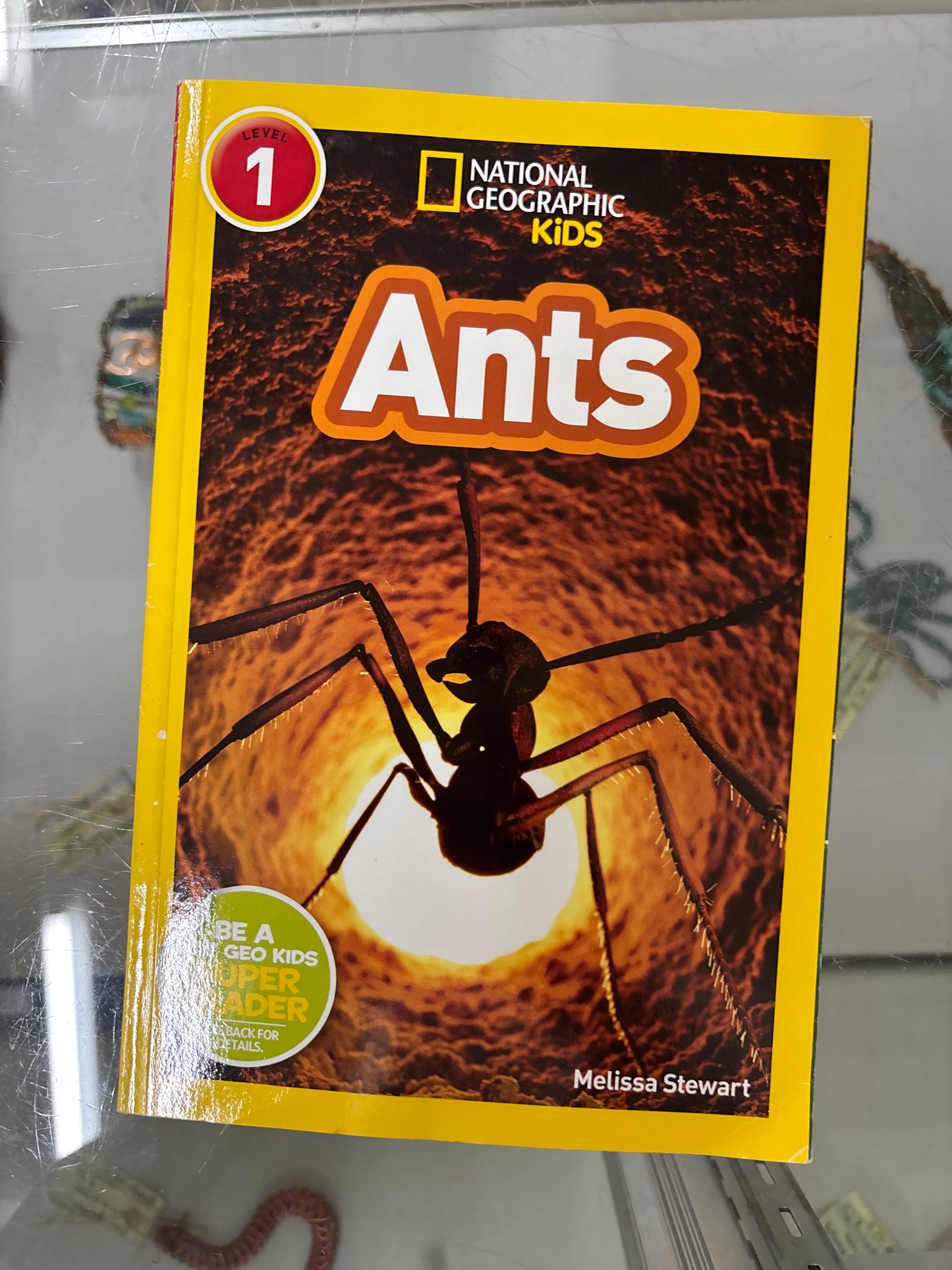 Ants