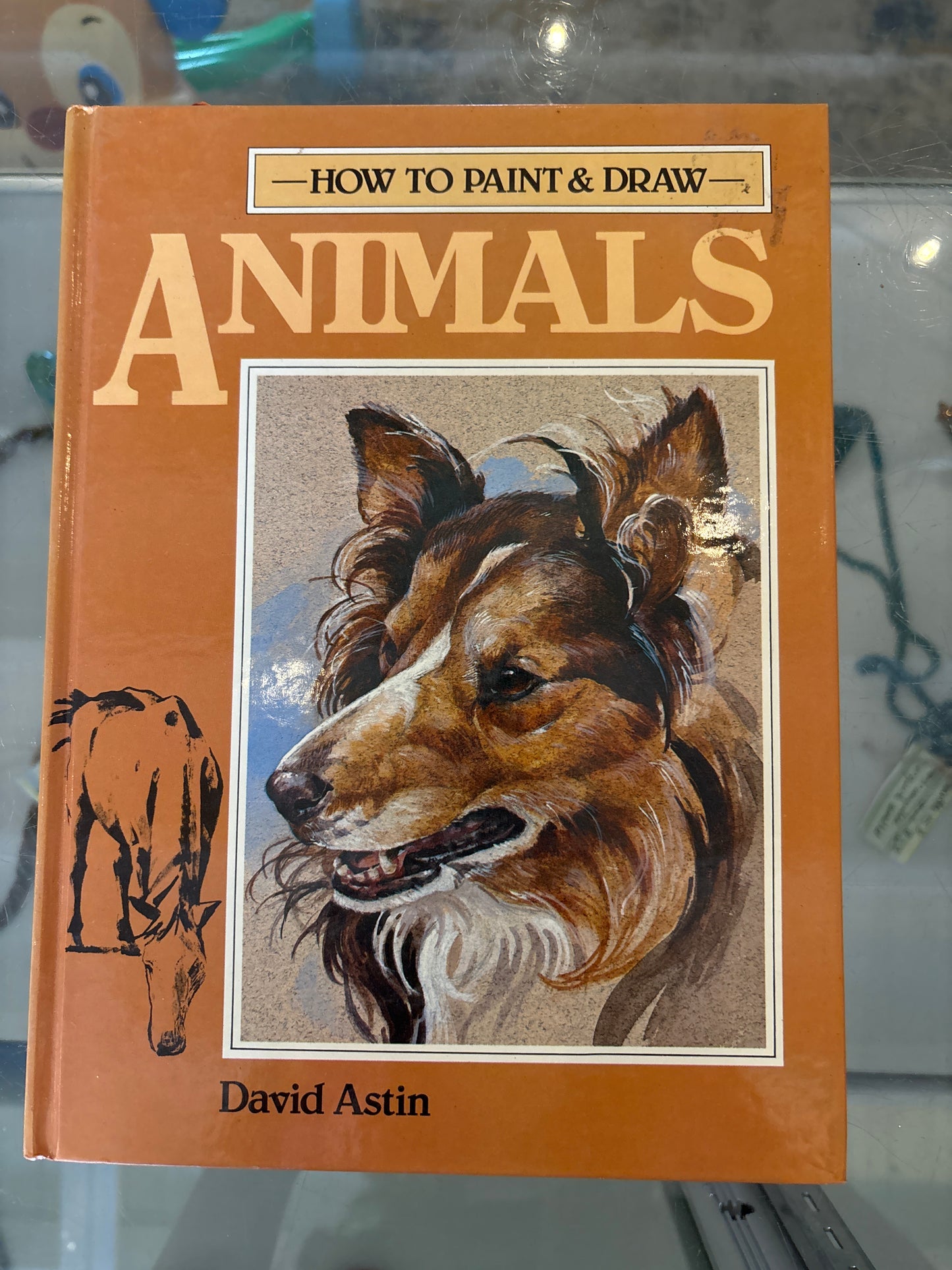 How to Paint and Draw Animals