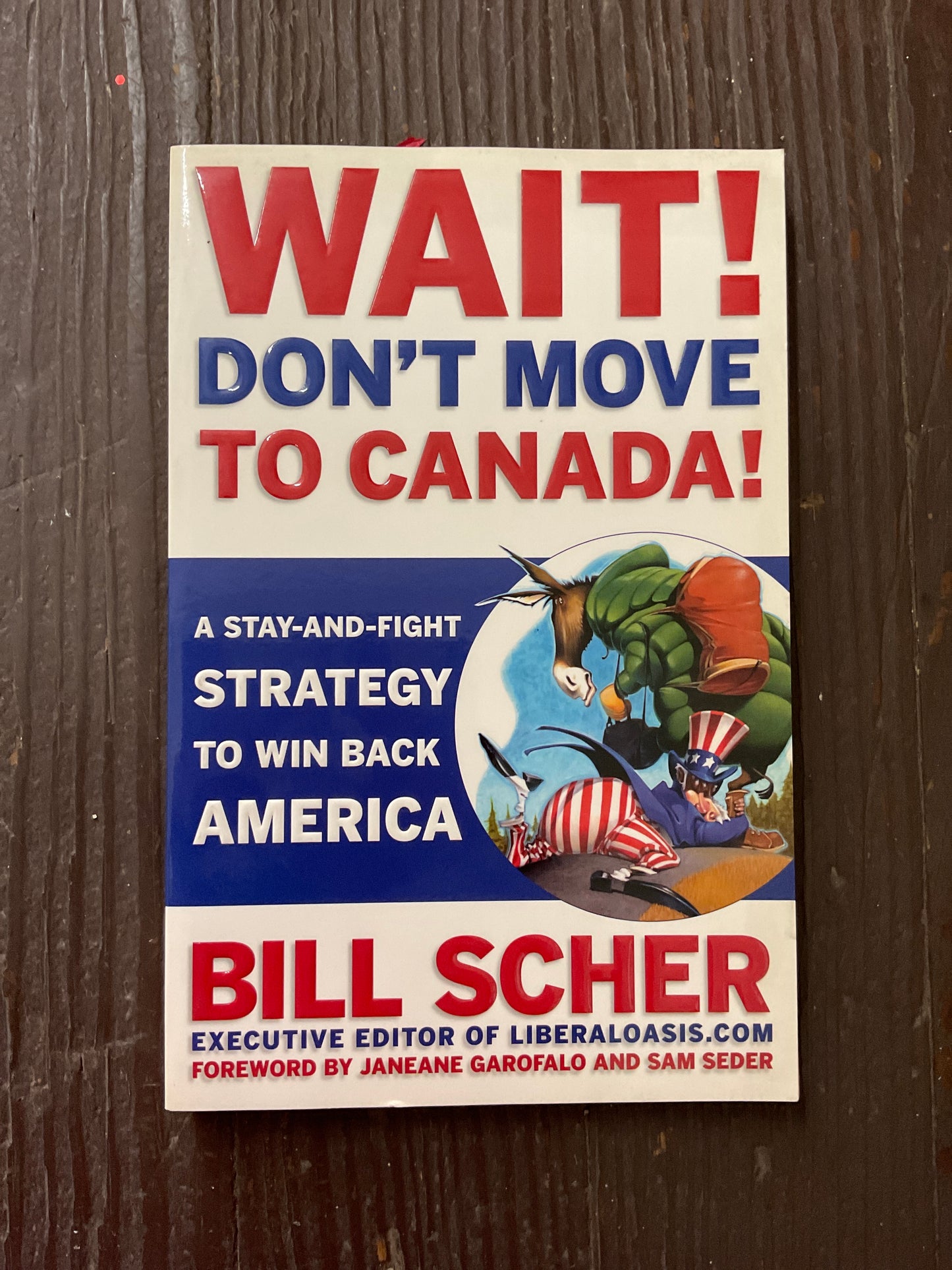 Wait! Don’t Move to Canada