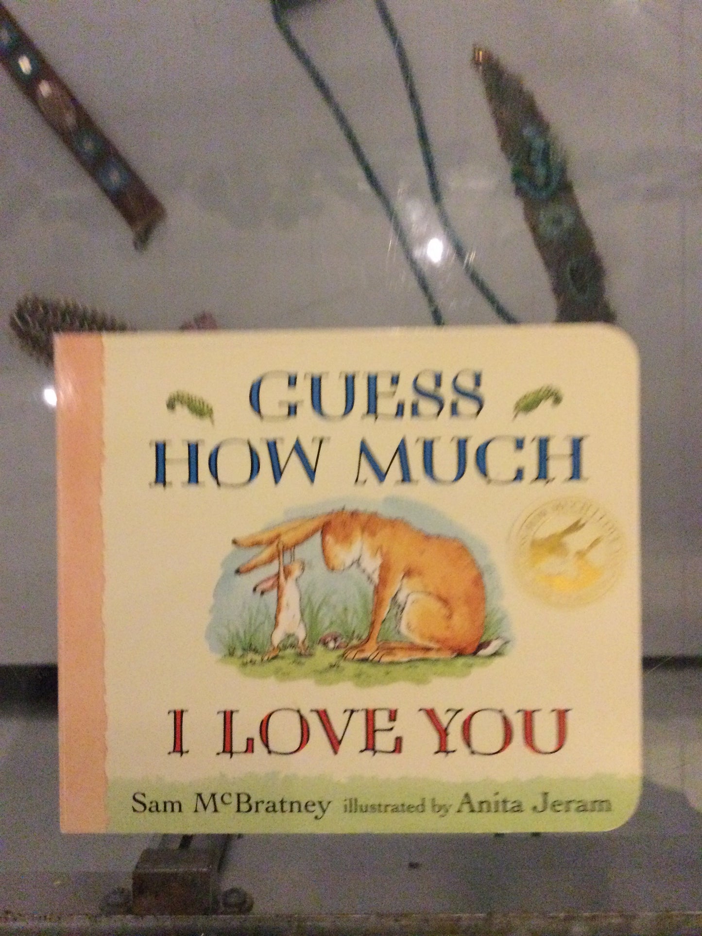 Guess How Much I Love You