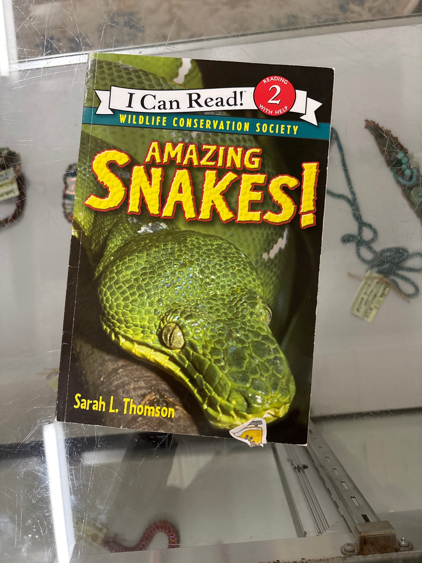 Amazing Snakes