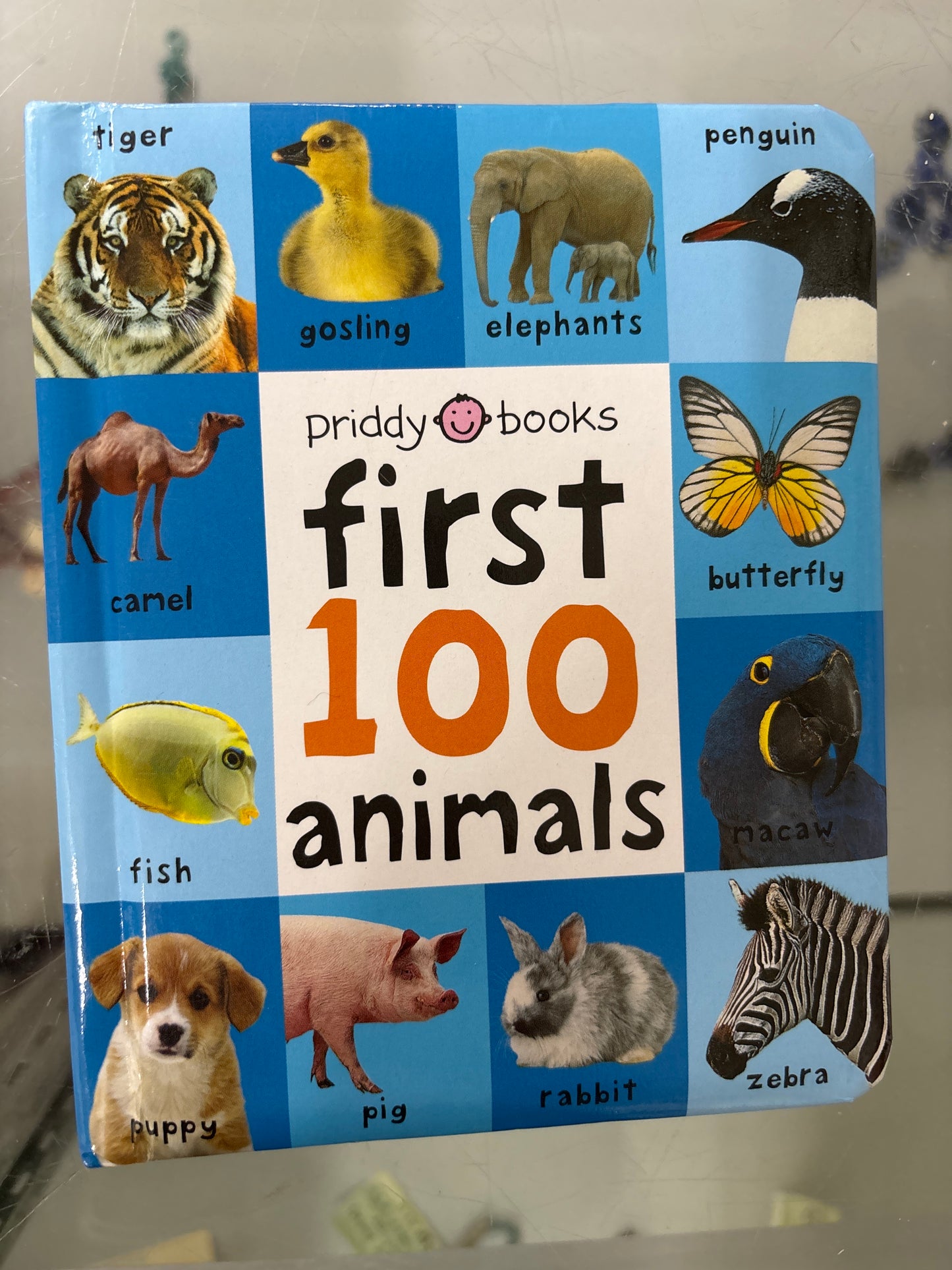 First 100 animals