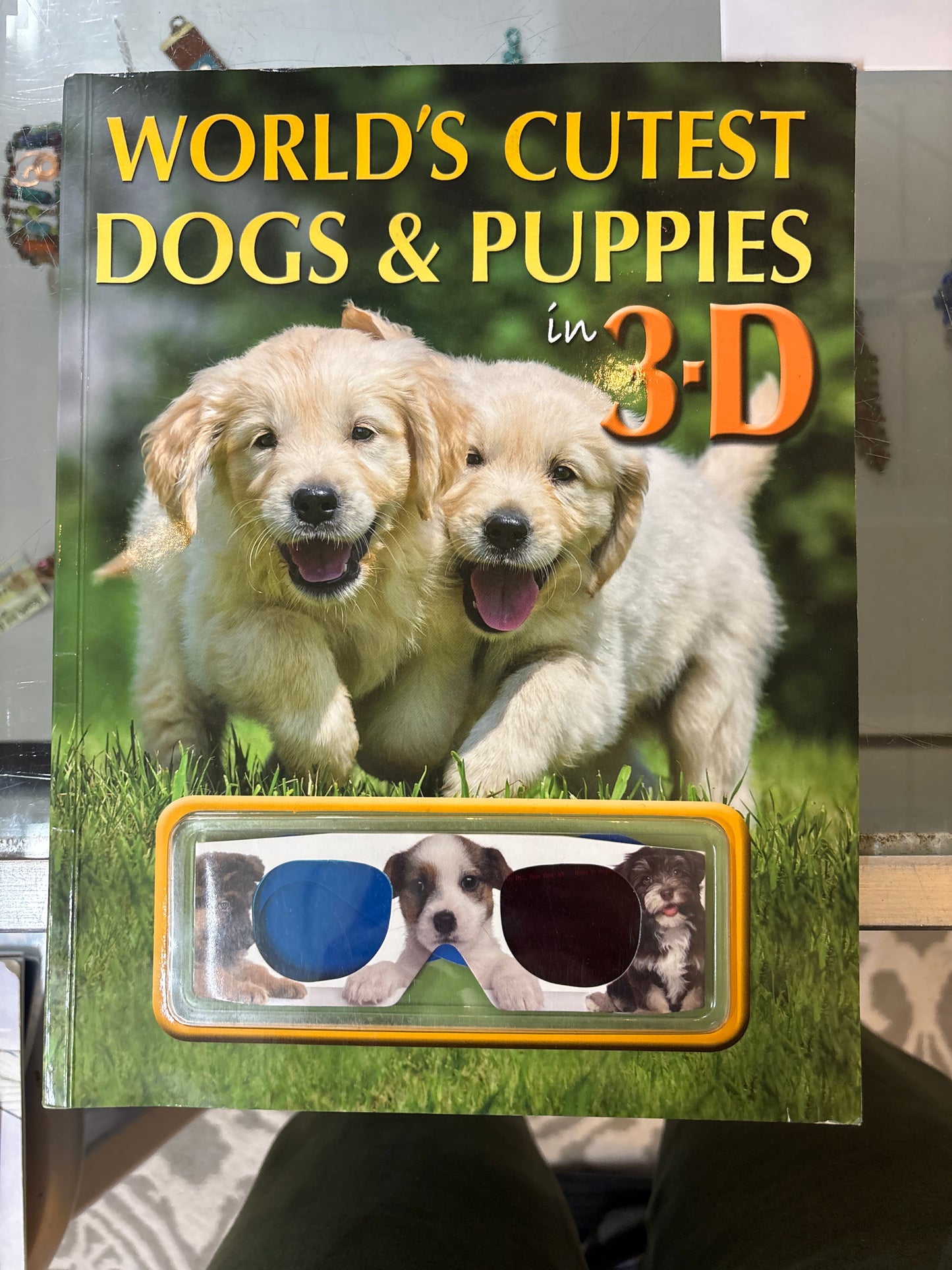 Worlds cutest dogs and puppies