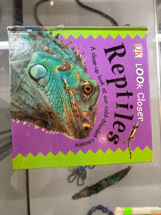 Look Closer Reptiles