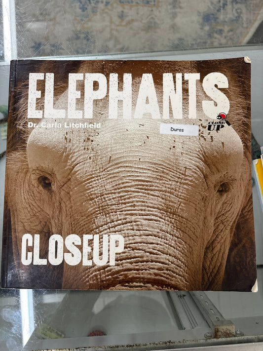 Elephants Close Up