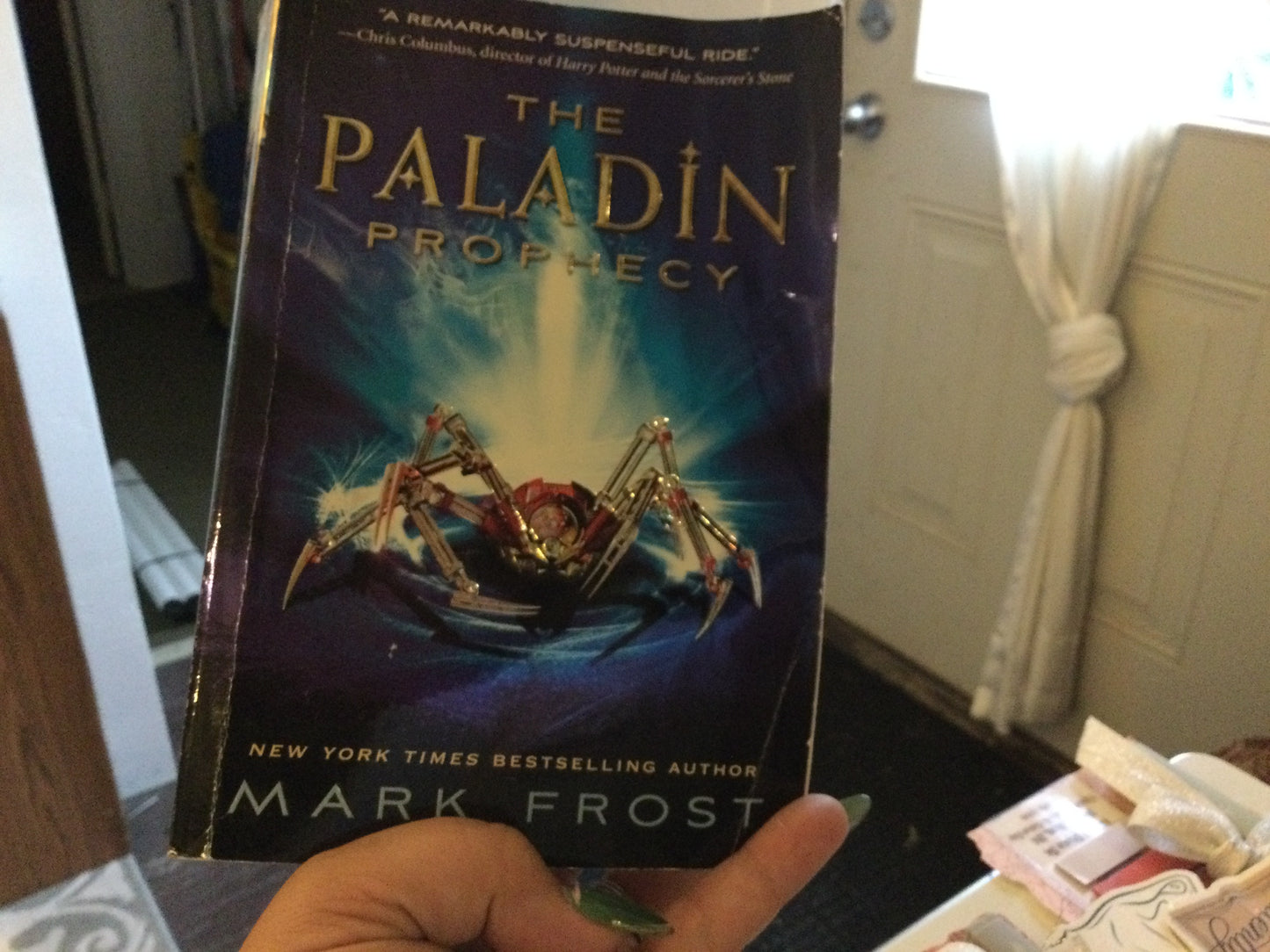 The Paladin Prophecy