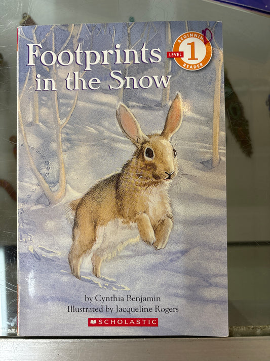 Footprints in the snow