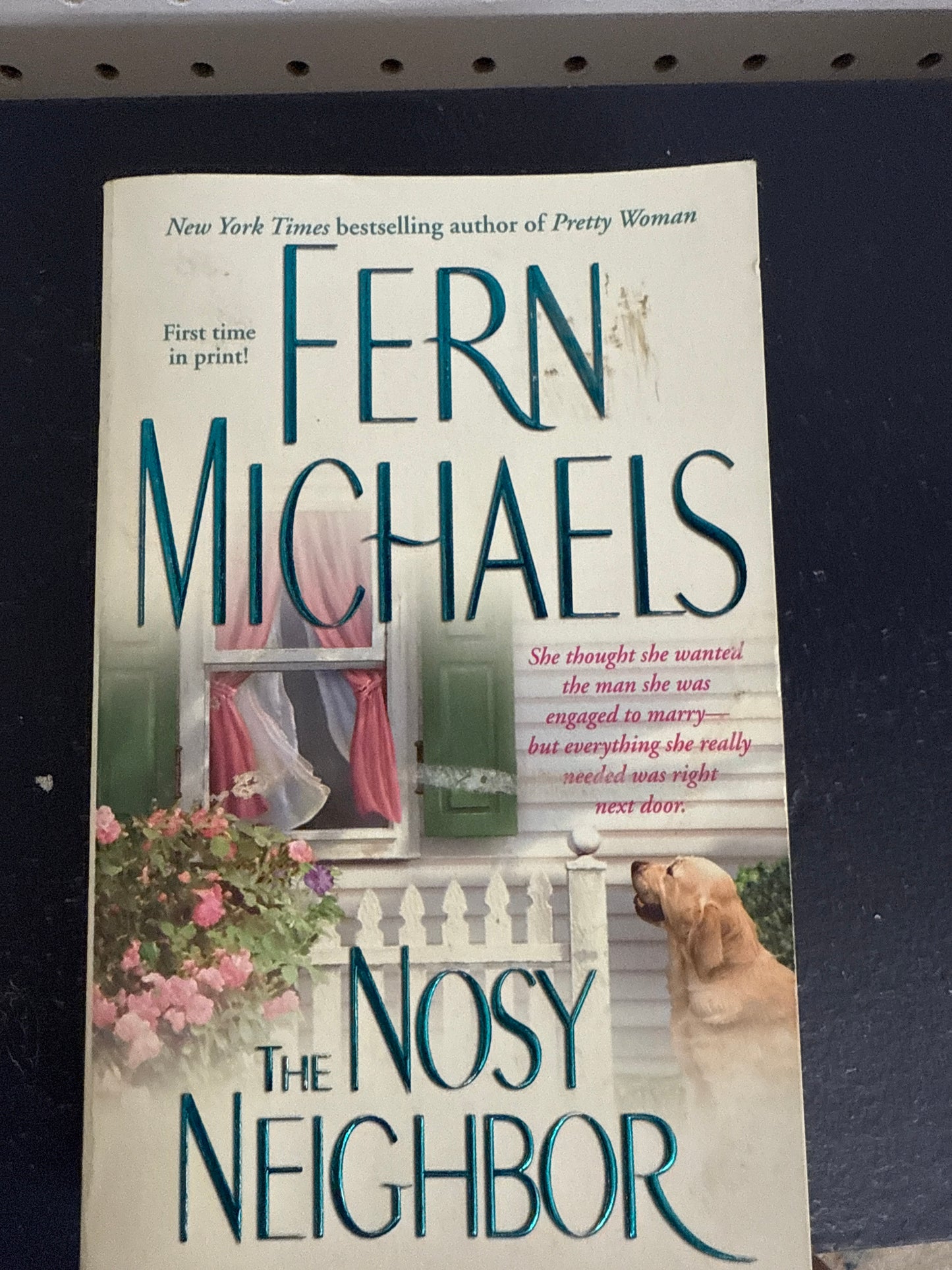The Nosy Neighbor