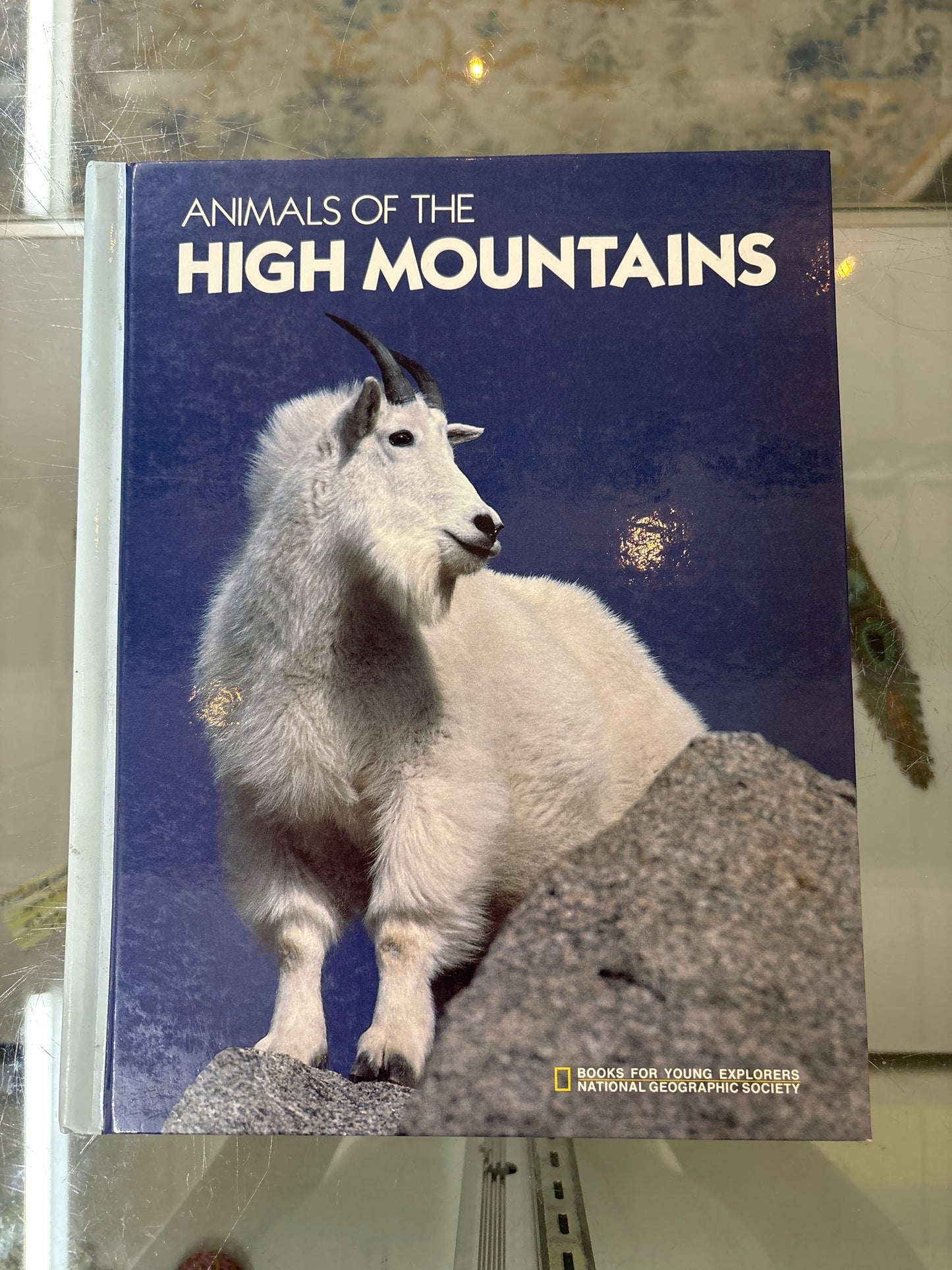 Animals of the High Mountains