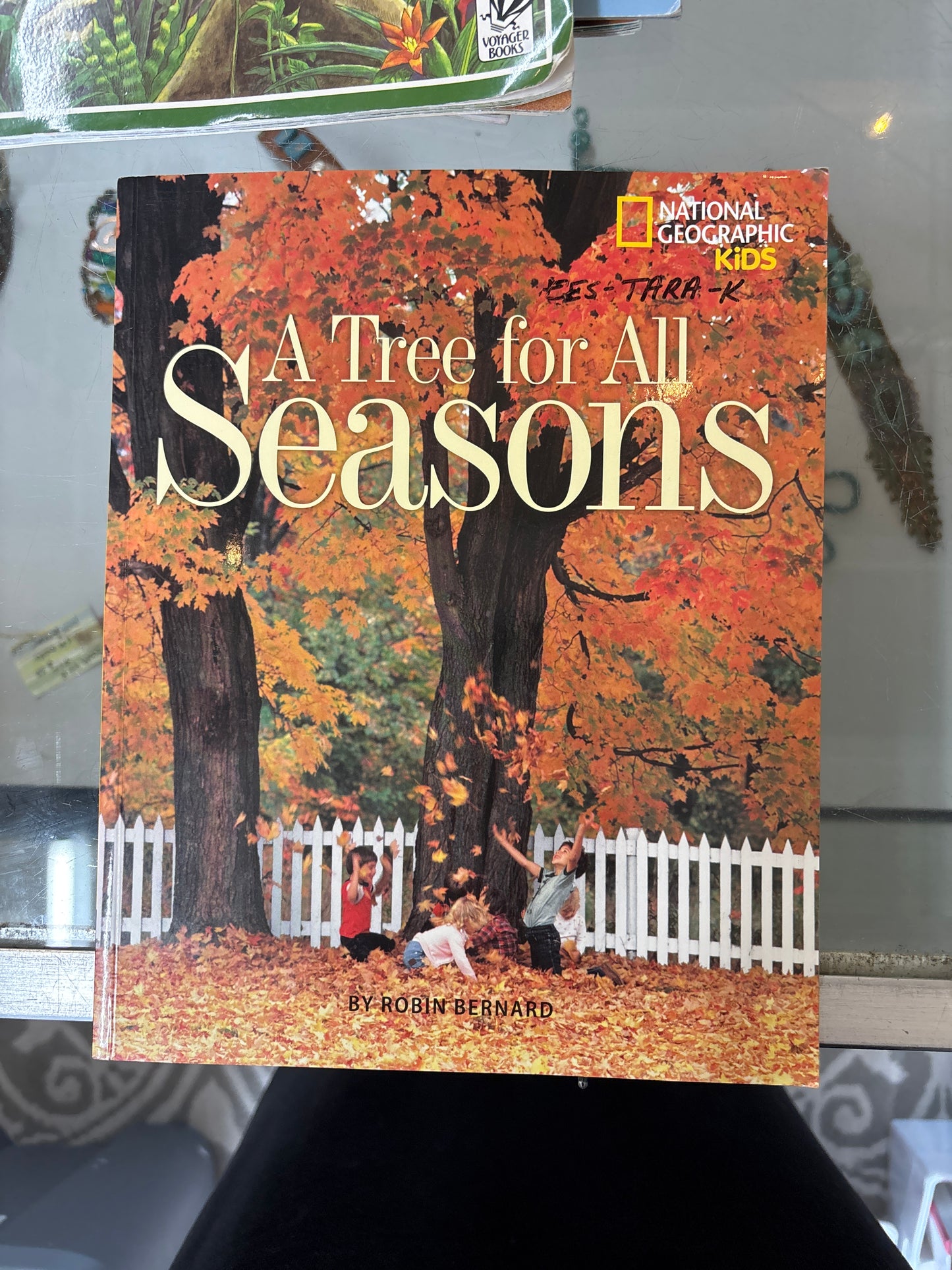 A tree for all season