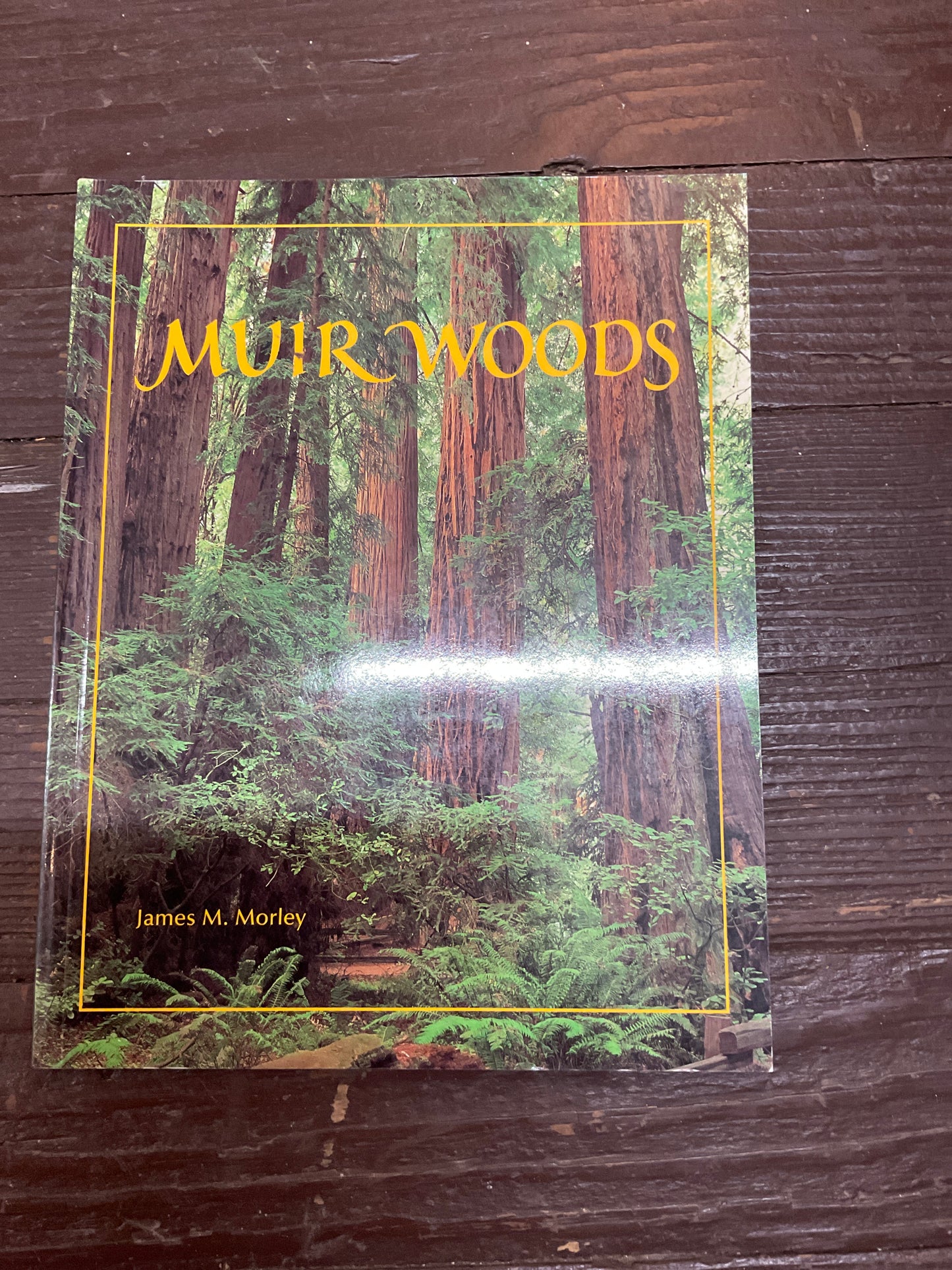 Muir Woods