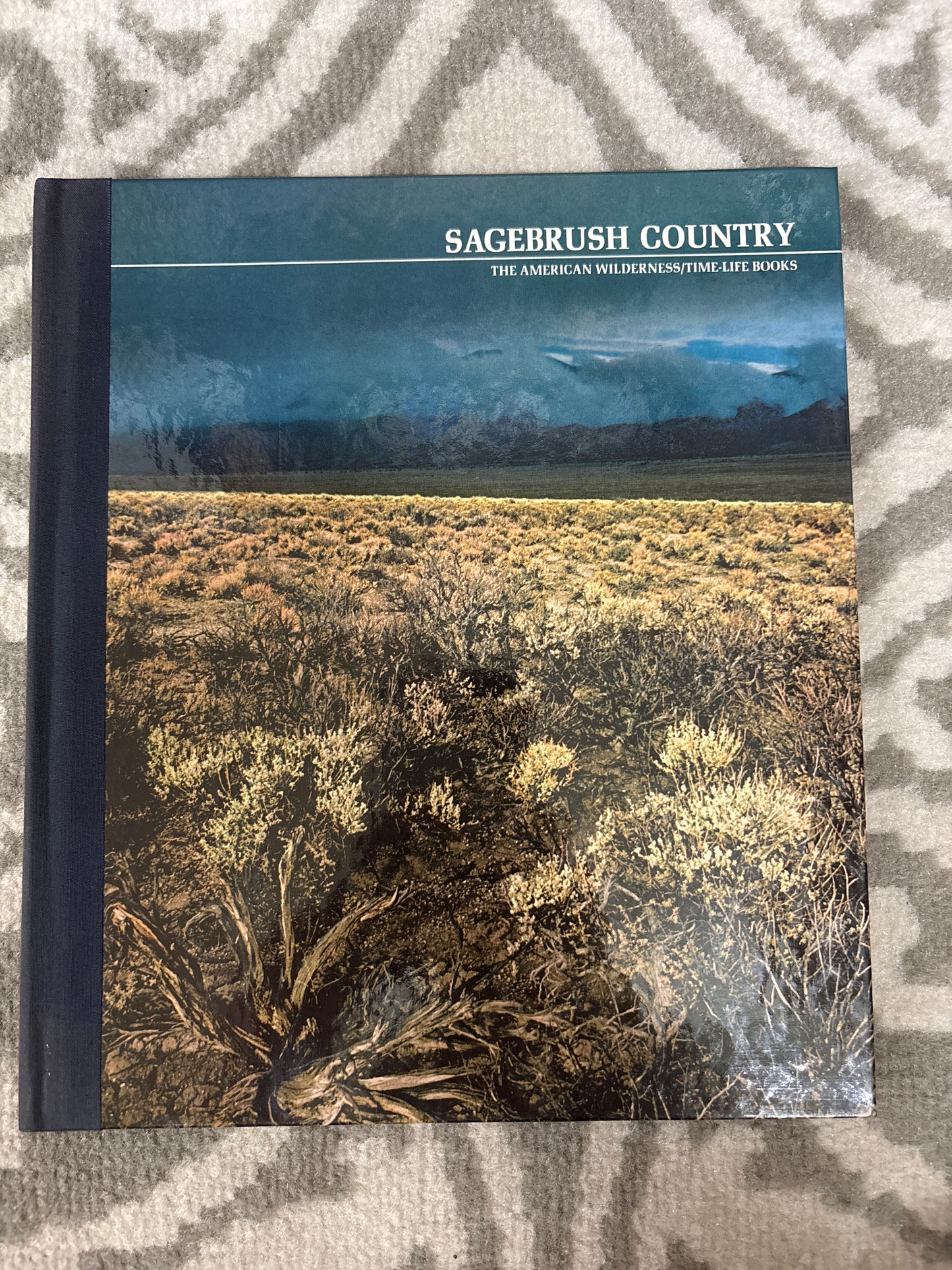 Sagebrush Country