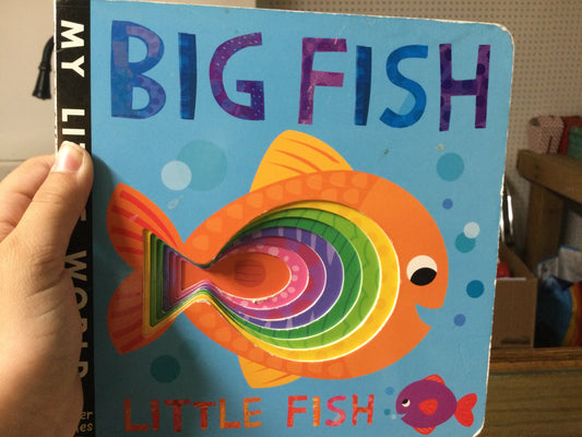 Big Fish Little Fish