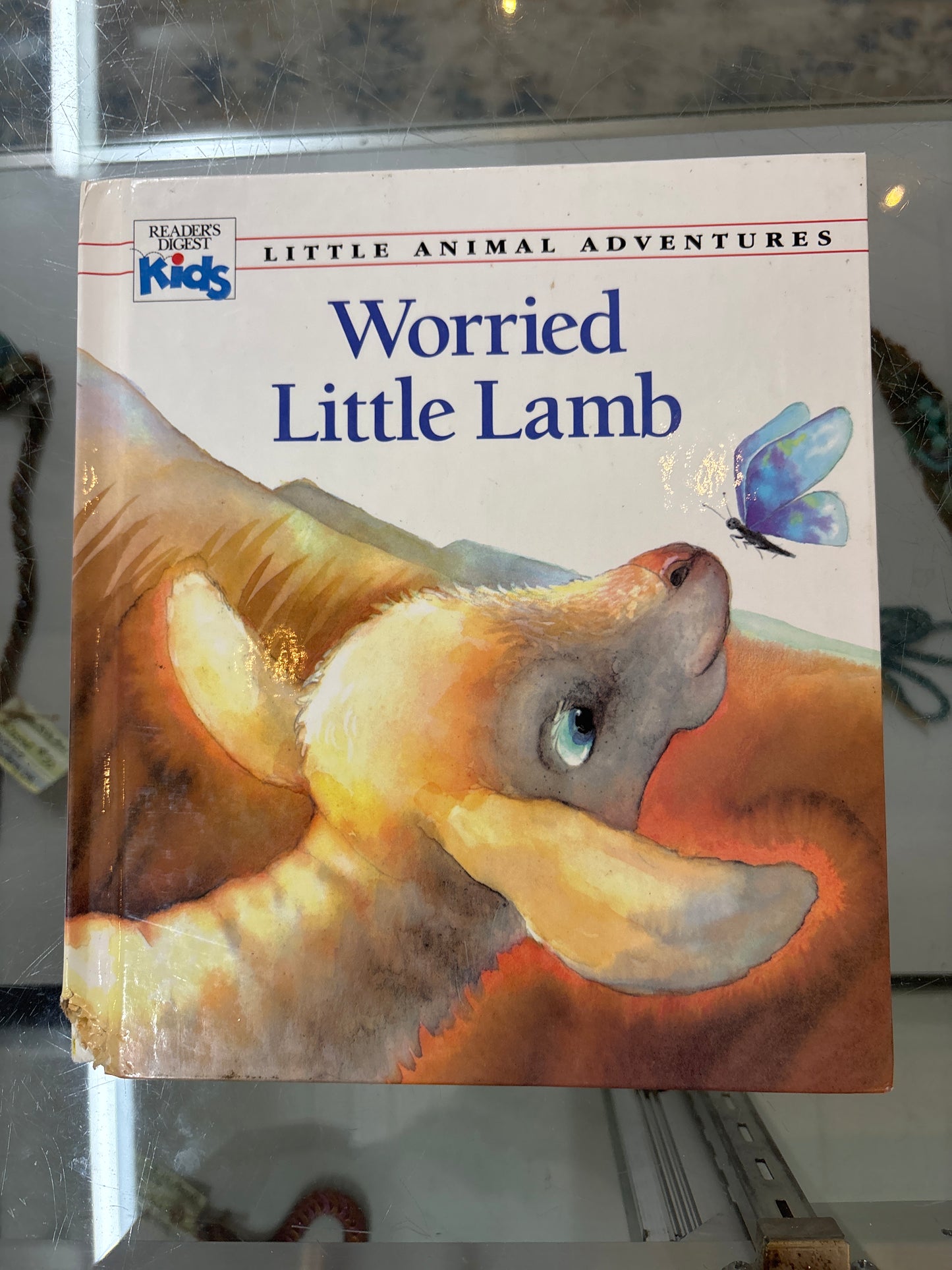 Worried Little Lamb