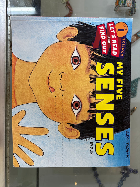 My Five Senses
