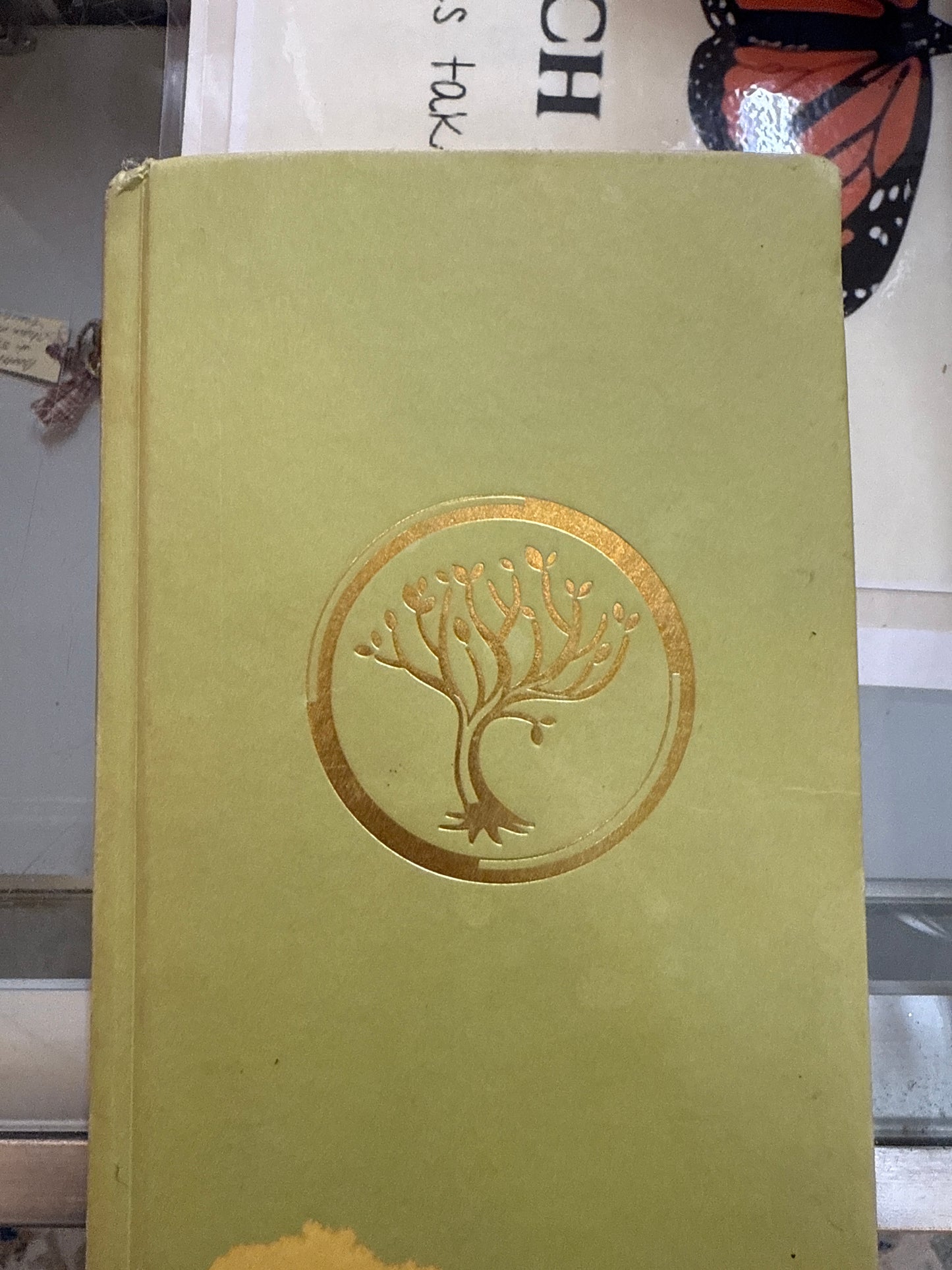 Insurgent