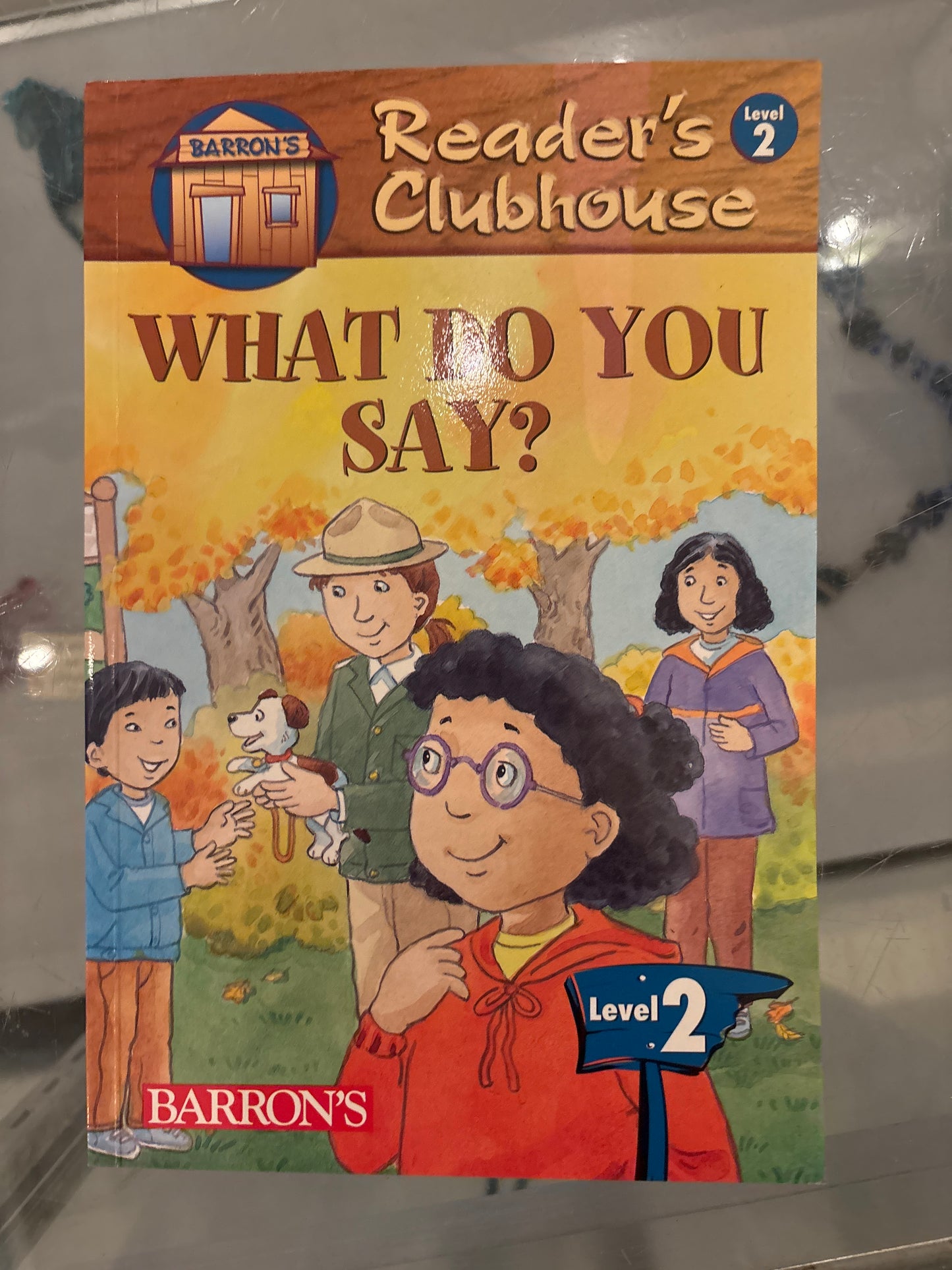 What Do you Say?