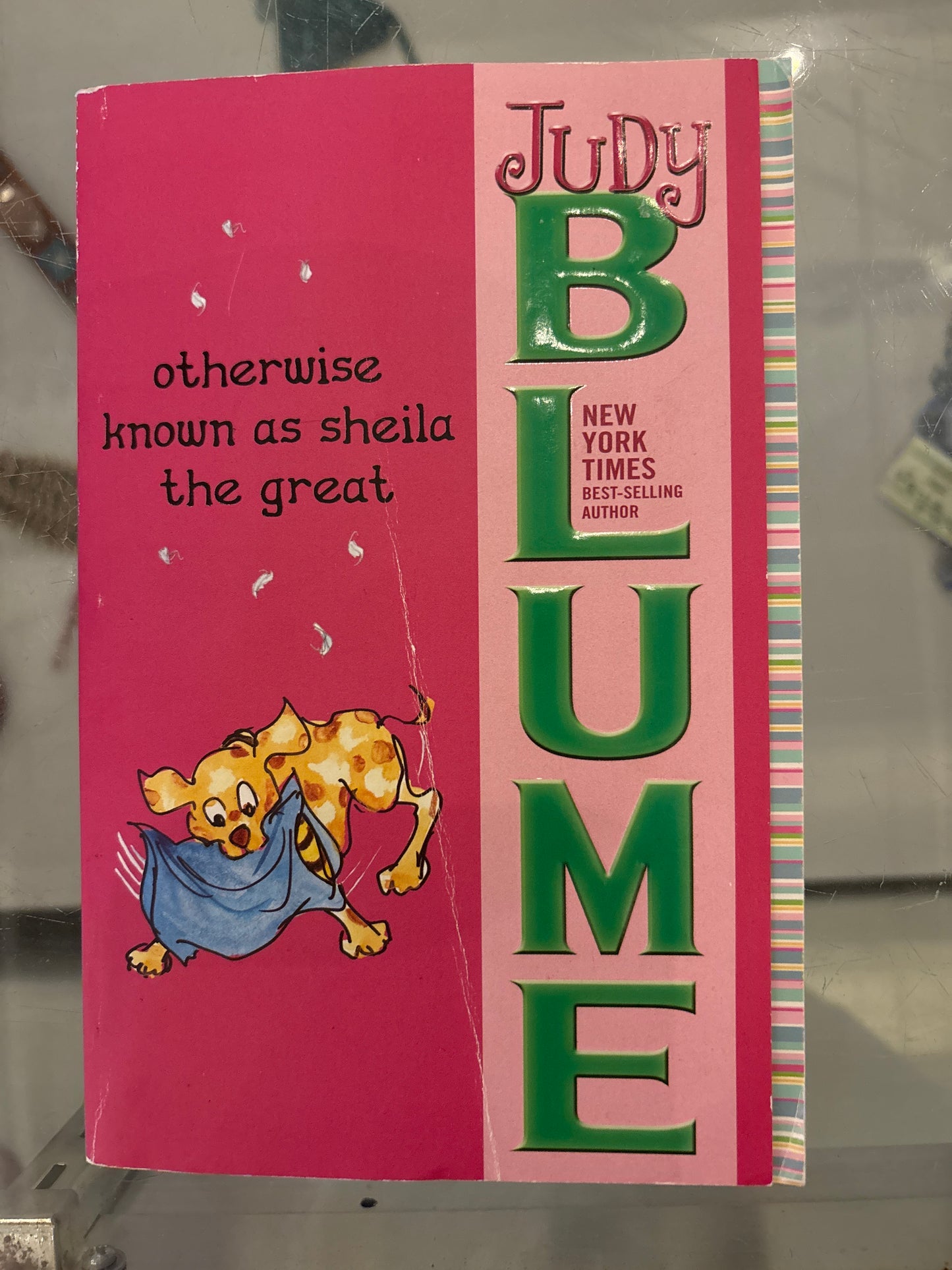 Otherwise known as Sheila the great