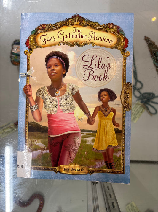 The fairy godmother Academy