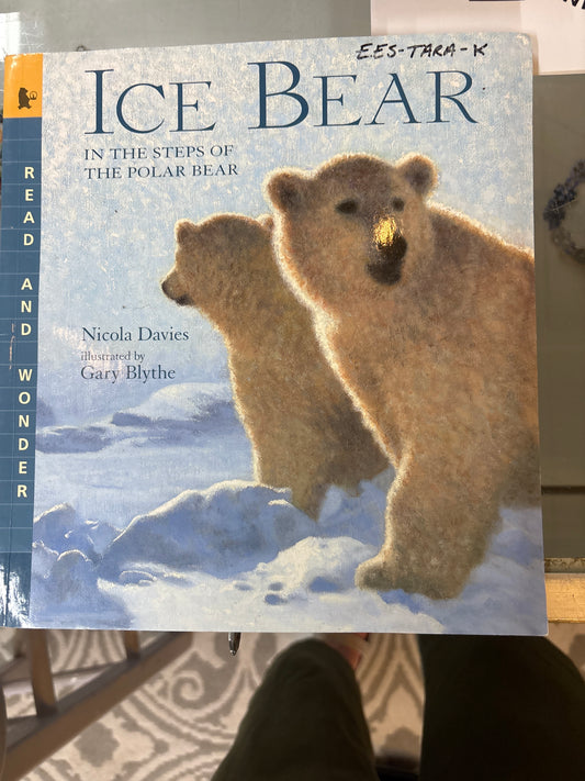 Ice bear