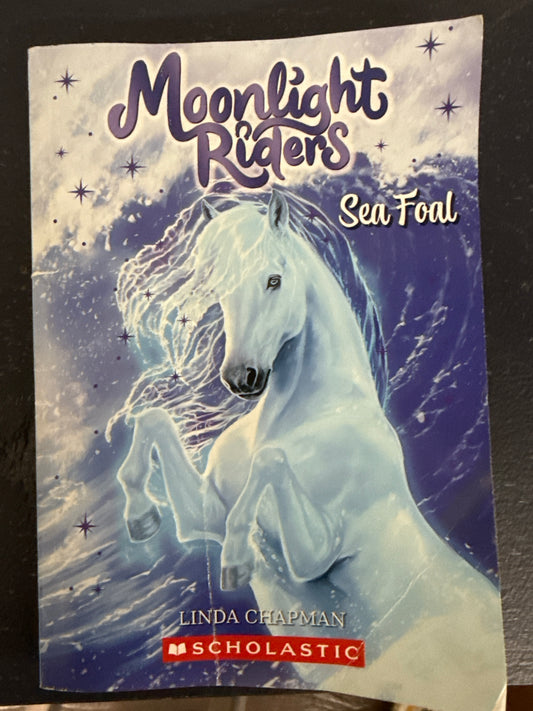 Moonlight Rider