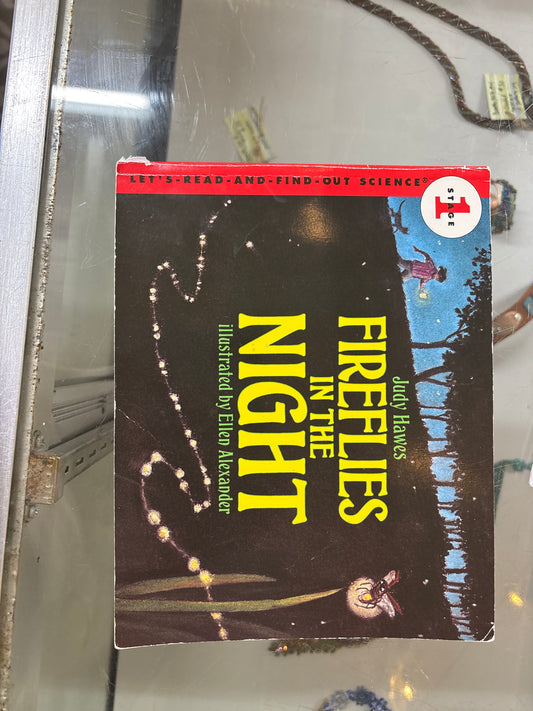 Fireflies in the Night