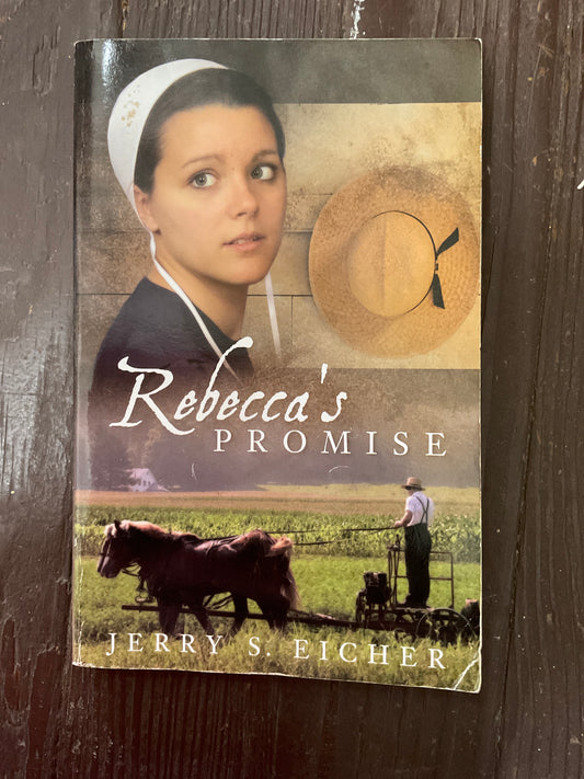 Rebecca’S Promise