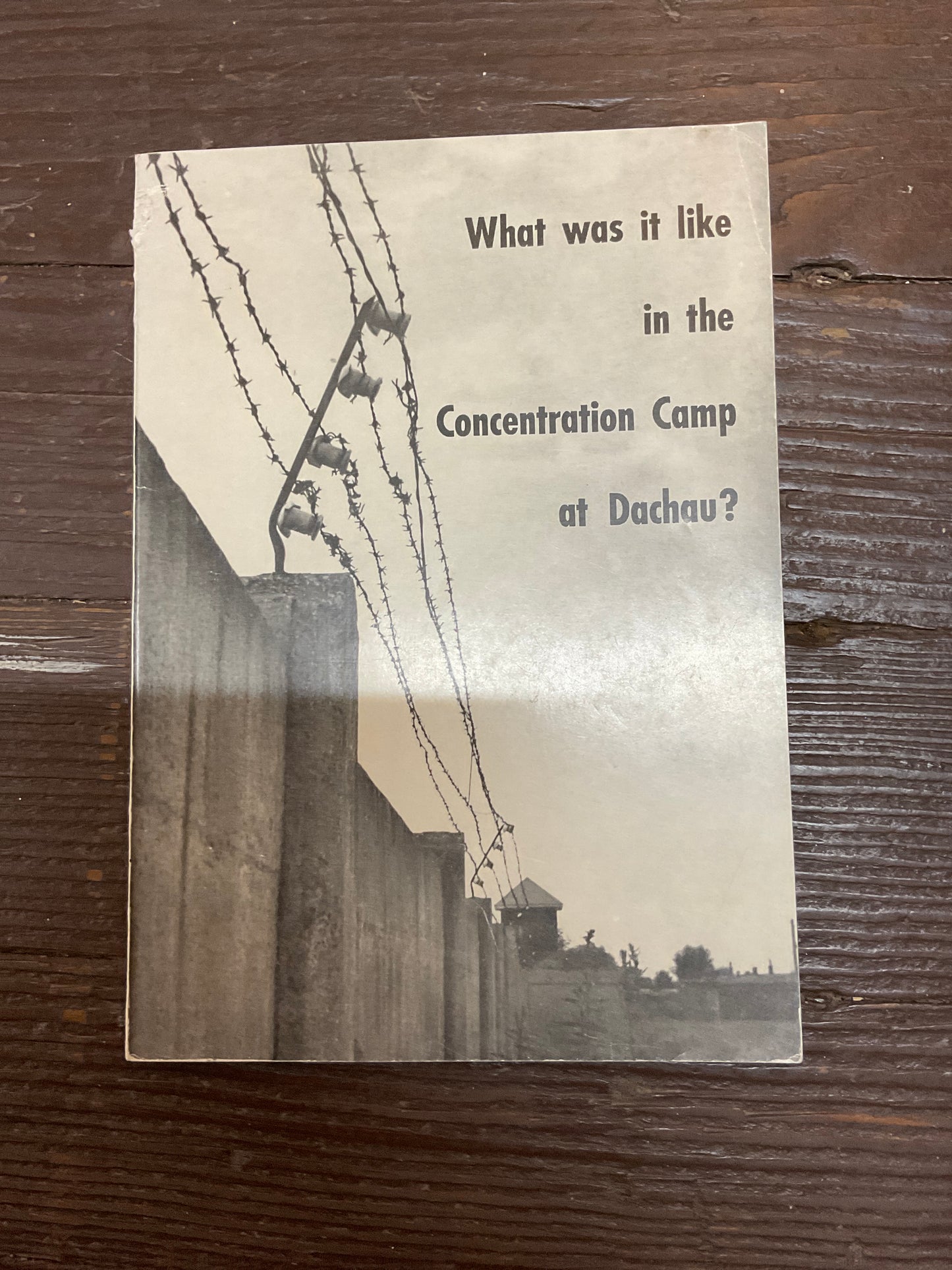 What was it like in the concentration camp?