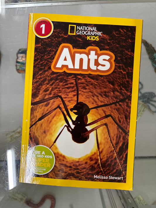 Ants