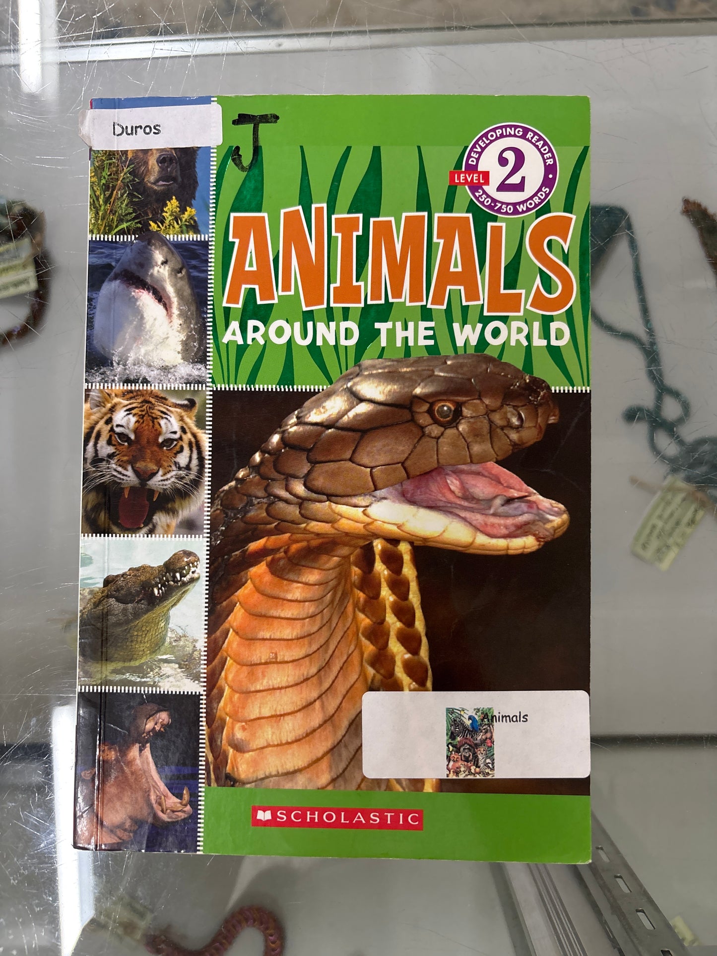 Animals around the world