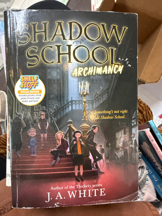 Shadow School