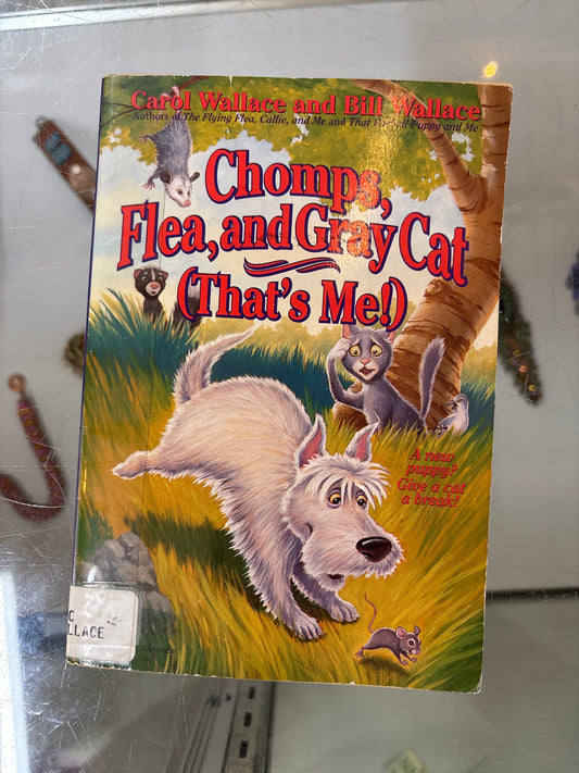 Chomps, Flea, and Gray Cat