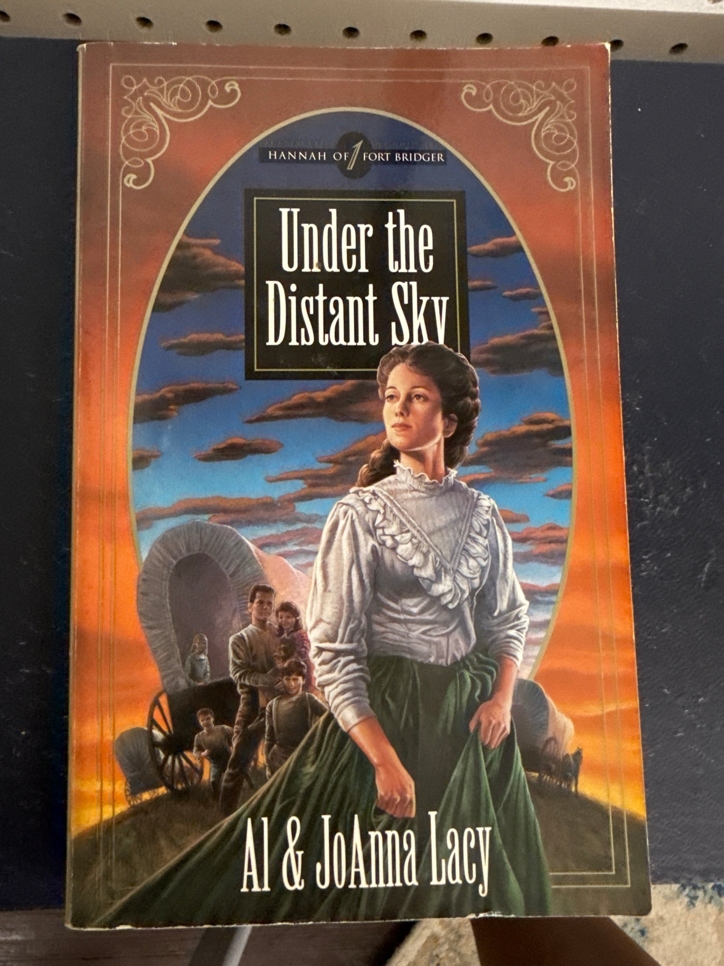 Under the Distant Sky