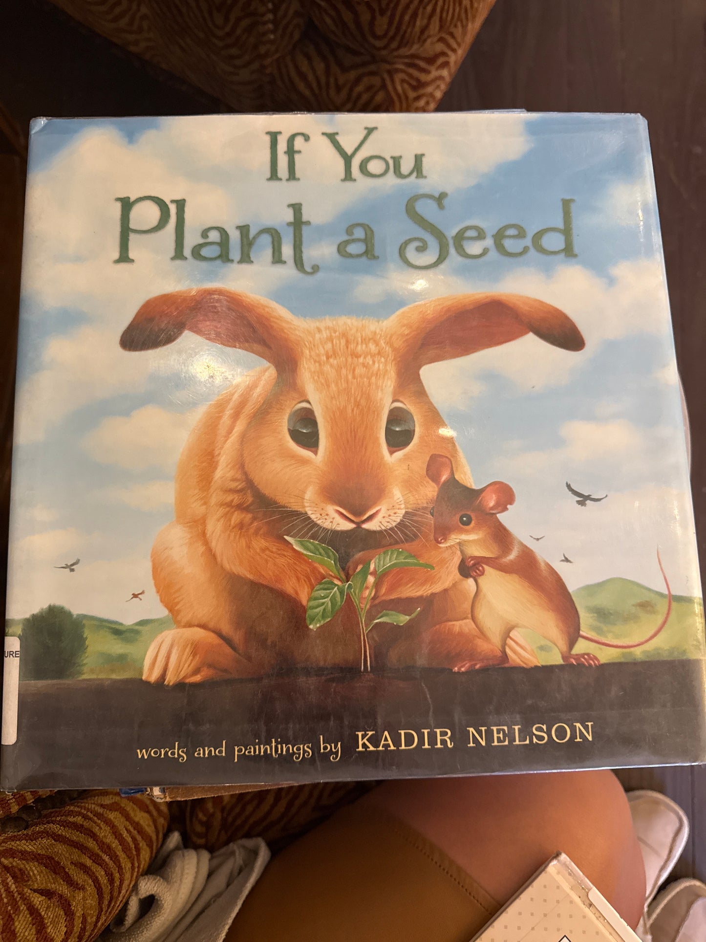 If You Plant a Seed