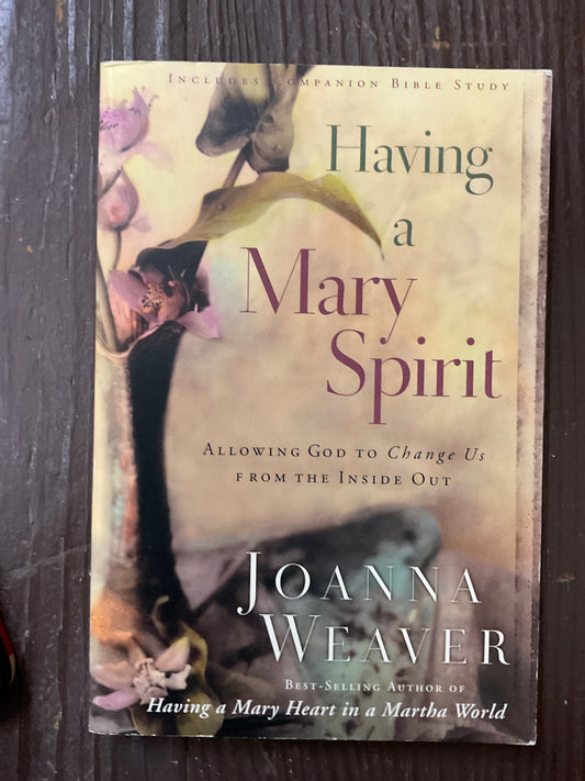 Having a Mary Spirit