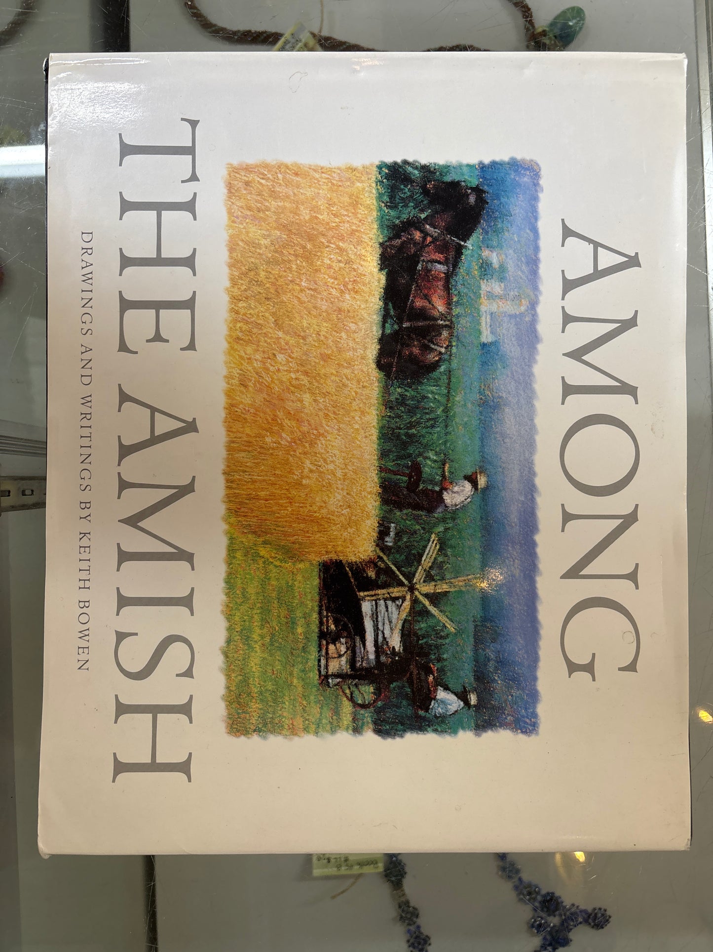 Among the Amish