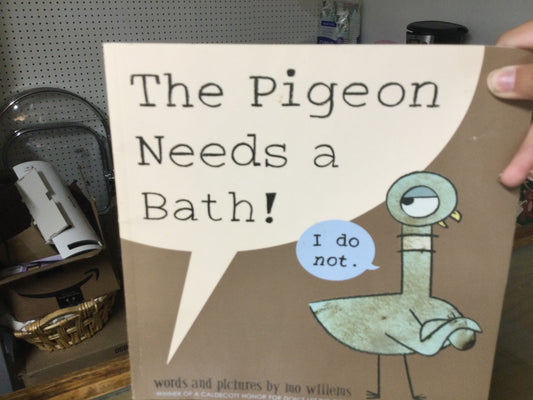 The pigeon needs a bath